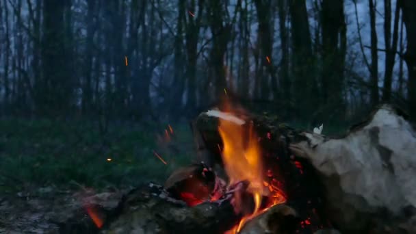 Slow motion gevangen bij 100 Fps. Bonfire, kampvuur met vonken close-up. — Stockvideo