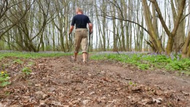 4 k. yetişkin adam uzun yürüyüşe çıkan kimse yeşil bahar bir ormanda. Sağlıklı yaşam tarzı takım