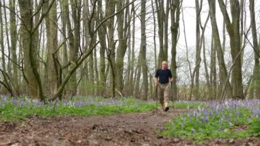 4 k. adam uzun yürüyüşe çıkan kimse yeşil bahar bir ormanda. Sağlıklı yaşam tarzı takım, Dolly vurdu