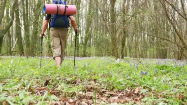 4 k. adam uzun yürüyüşe çıkan kimse backpacker yeşil bahar bir ormanda. Sağlıklı yaşam tarzı takım.