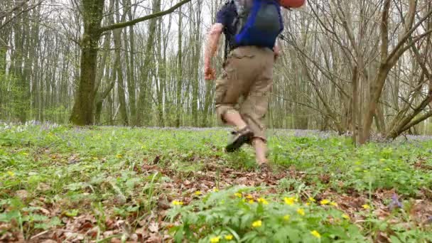 4 k. koşan adam uzun yürüyüşe çıkan kimse backpacker yeşil bahar ormanda — Stok video