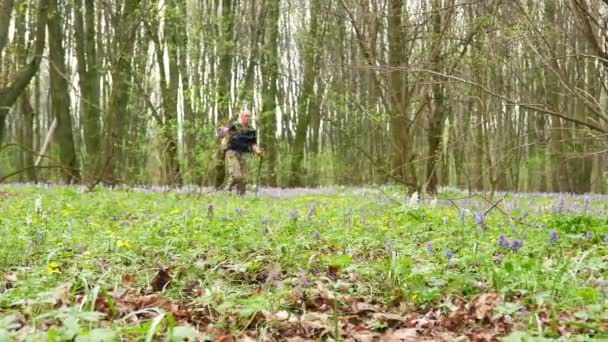 4 k. mężczyzna backpacker turysta na wiosna zielony las. Zdrowy styl życia zespołu. — Wideo stockowe