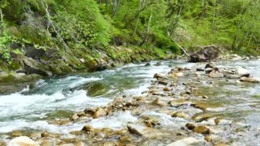  4 k. dağ nehir küçük şelale ile. Manzara panorama
