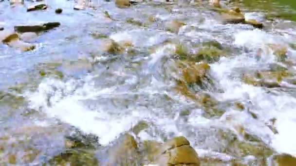 4K. Pequeno rio de montanha com cachoeira .Panorama — Vídeo de Stock