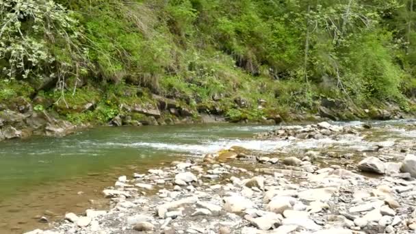 4 k. μικρό ορεινό ποτάμι με καταρράκτη. Πανόραμα — Αρχείο Βίντεο