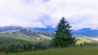 4 k Alone ağaç, dağ ve bulutlar gökyüzünde. Zaman atlamalı kuşlar olmadan.