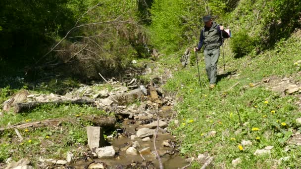 4K .Man turista ir cerca de arroyo en el día soleado. Equipo de mochileros — Vídeos de Stock