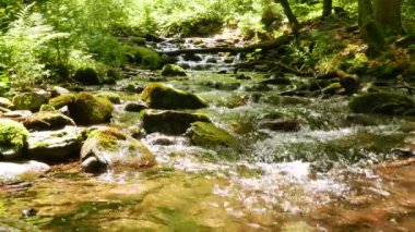  Dağ ahşap, güneşli gün atış akışında. 4k 3840 x 2160. 