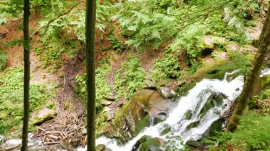   Ahşap dağ yaz şelale. Panorama 4k 3840 x 2160