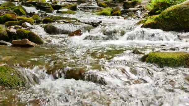 Mountain Stream de cerca. 4K 3840x2160 — Vídeo de stock