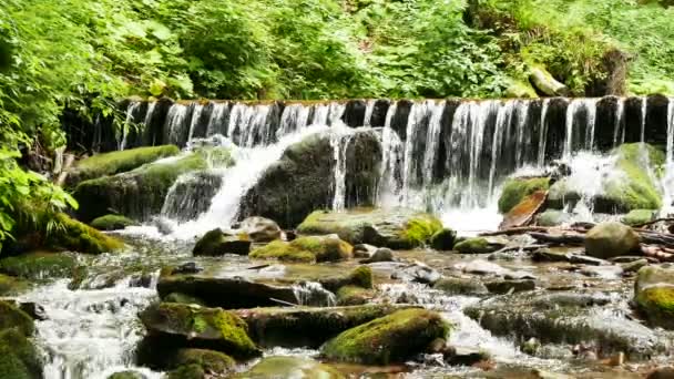 Kleiner Wasserfall und Bach an Sommertagen. 4k 3840x2160 — Stockvideo