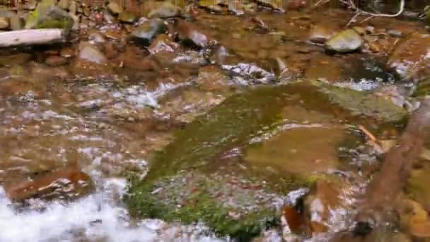 Pequeña cascada y arroyo en el día de verano. 4K 3840x2160 — Vídeo de stock