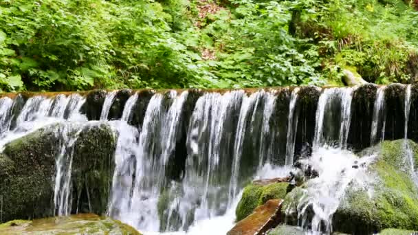Kleiner Wasserfall n Sommertag. 4k 3840x2160 — Stockvideo