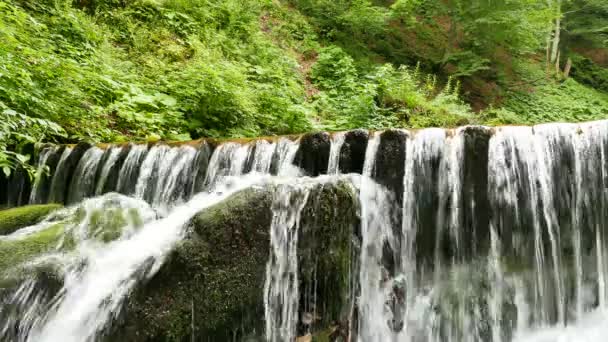 Kleiner Wasserfall n Sommertag aus nächster Nähe. 4k 3840x2160 — Stockvideo