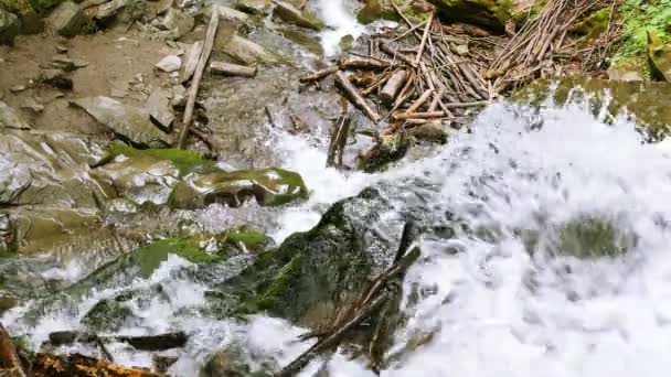 Mountainl şelale, akış düşmüş ağaçların en iyi manzaralı. 4k 3840 x 2160. — Stok video