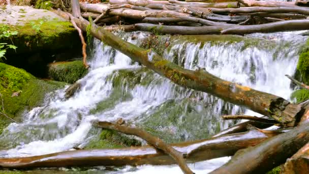 Berg kleiner Wasserfall, Bach mit umgestürzten Bäumen. 4k 3840x2160 — Stockvideo