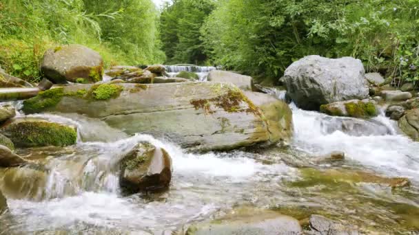 Piękne kamienie w górskim potoku. 4k 3840 x 2160. — Wideo stockowe