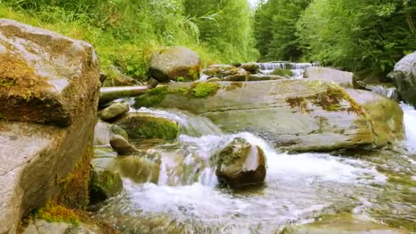 Lindas pedras em um riacho de montanha. Panorama. 4K 3840x2160 . — Vídeo de Stock