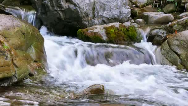 Lindas pedras em um riacho de montanha no dia de verão. 4K 3840x2160 . — Vídeo de Stock