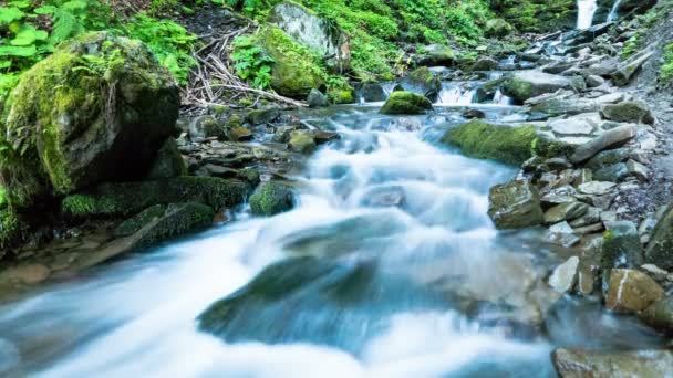 Arroyo de montaña con agua borrosa en el día de verano. 4K 4096x2304 — Vídeo de stock