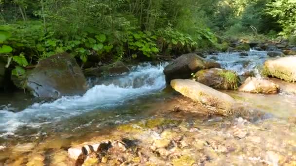 Gyönyörű hegyi patak ENSZ napsütéses nyári napon. Panoráma-4k 3840 x 2160. — Stock videók
