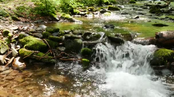 Ruisseau de montagne avec pierres près dans le bois, journée ensoleillée. Paysage en 4K 3840x2160 . — Video