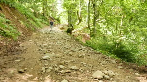 Man daalt toeristische bergweg.4k 3840 x 2160. — Stockvideo