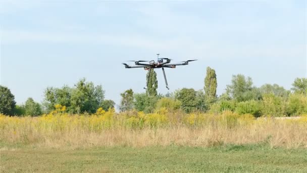 Drone fly and landing on grass   .4K 3840x2160 — Stock Video