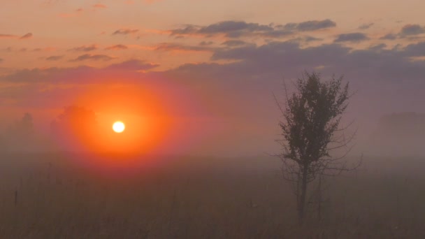 Prachtige mistige zonsopgang hemel met zon in rode tinten. 4k 3840 x 2160. Zonder vogels — Stockvideo