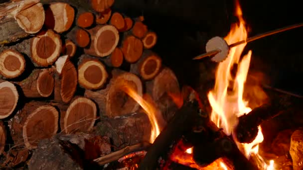 4k. Marshmallows op kamp brand roosteren — Stockvideo