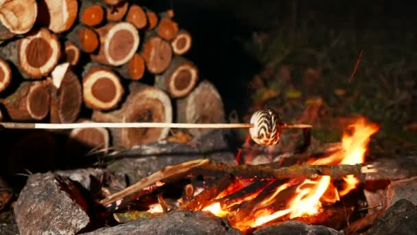 4k. Prażenie Marshmallows w Camp Fire — Wideo stockowe