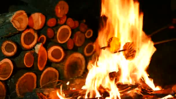 4k. Twee Marshmallows op kamp brand roosteren — Stockvideo