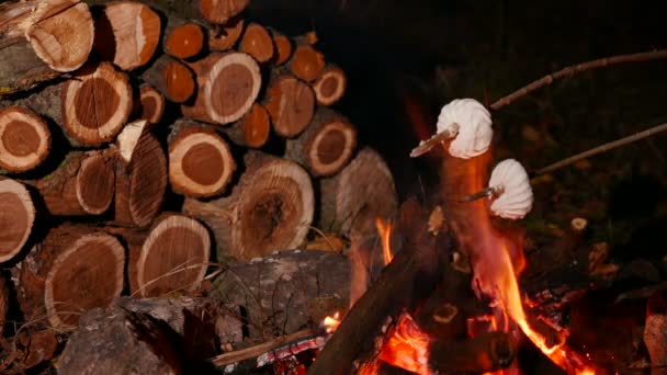4k. Twee Marshmallows op kamp brand roosteren — Stockvideo