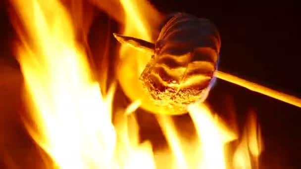 4k. Marshmallow op kamp brand, vreugdevuur. Macro voedsel weergave — Stockvideo