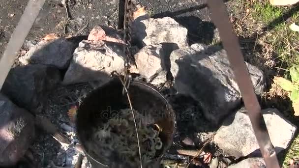 Cocinar comida al aire libre cerca de la hoguera. Cebollas fritas en tetera — Vídeo de stock