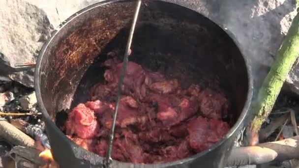 Koken voedsel buiten in de buurt vreugdevuur. Vlees met kruiden in waterkoker close-up — Stockvideo