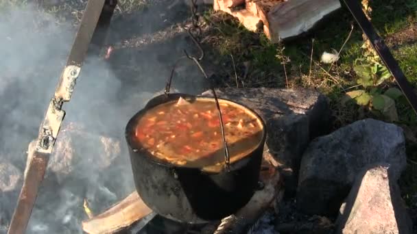 Gotowania żywności na zewnątrz. Człowiek wylewa pomidor w zupie nad ogniskiem — Wideo stockowe