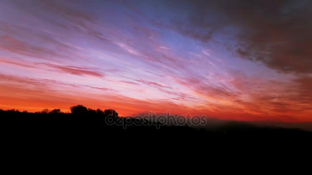 4 K. Захід сонця над деревами в червоному і синьому небі з хмарами. Проміжок часу — стокове відео