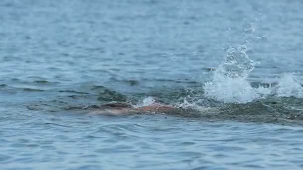 Mladý muž plave v jezeře nebo v moři se stříkáním vody. Zpomalený pohyb — Stock video