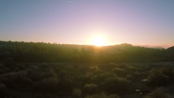 Aerial. Flight over  morning wood  with beams of sun — Stock Video