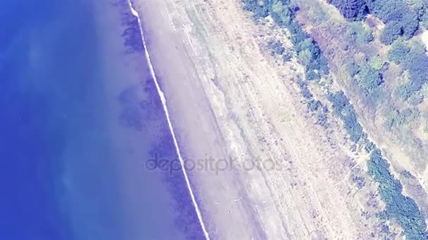 Luchtfoto. Over de kustlijn van lake in zomertijd. Bovenaanzicht — Stockvideo