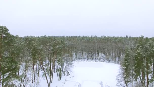  4K Aerial. Envolez-vous Hiver lac gelé et arbres 