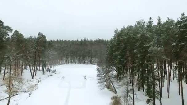 Aérea 4K. Rápido volar sobre el lago congelado invierno y los árboles — Vídeos de Stock