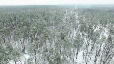  4k hava. Ahşap donmuş kış üzerinden kamera eğim ile uçmak .