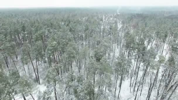 4k luchtfoto. Vliegen met camera inclinatie over Winter bevroren hout . — Stockvideo