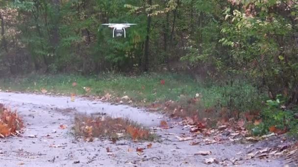 Drone volador con cámara en madera con viento de hélices y hojas — Vídeos de Stock