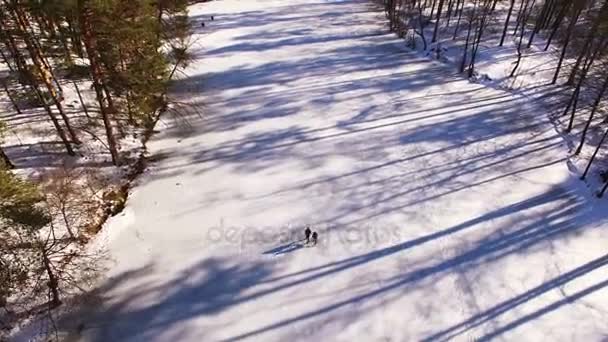 Aérea 4K. Dos personas en el río congelado con madera con sombras. Vista superior — Vídeos de Stock