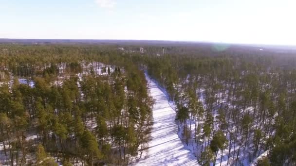 4k Antenne. Sonniger Winter im Park, Wald mit gefrorenem Fluss. — Stockvideo