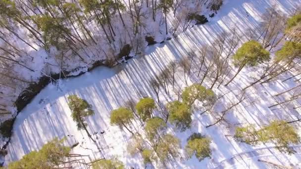 Aérea 4K. Volar en círculos alrededor del parque de invierno, madera con el río congelado. Vista superior — Vídeos de Stock