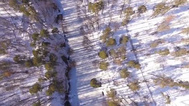 4K Aerial. Fly with circling  and lift up around  winter wood  with frozen  river. Top view — Stock Video